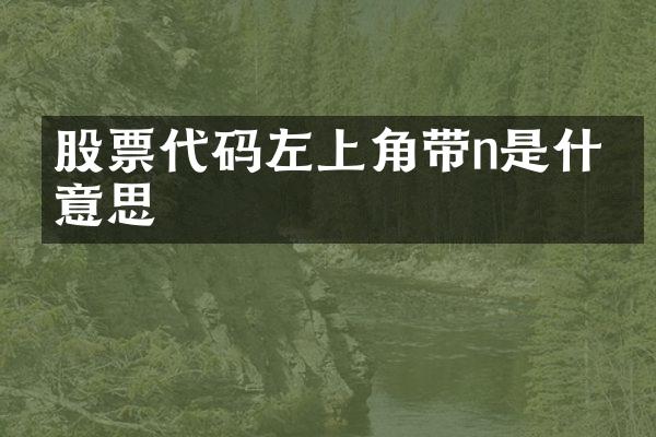 股票代码左上角带n是什么意思