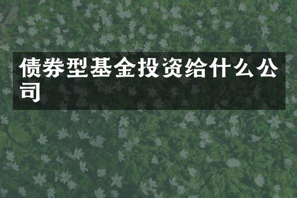 债券型基金投资给什么公司