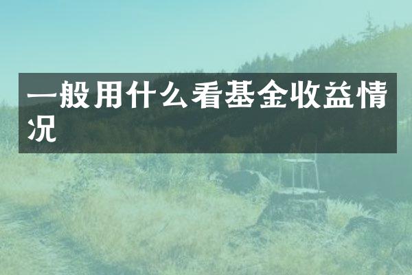 一般用什么看基金收益情况