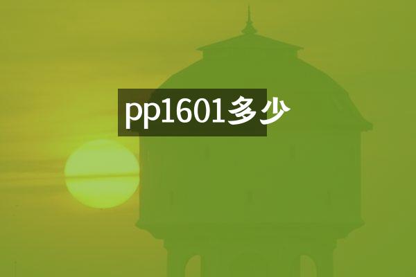 pp1601多少