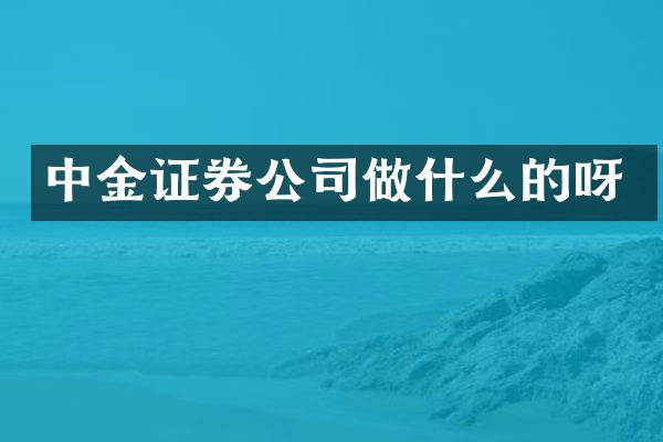 中金证券公司做什么的呀