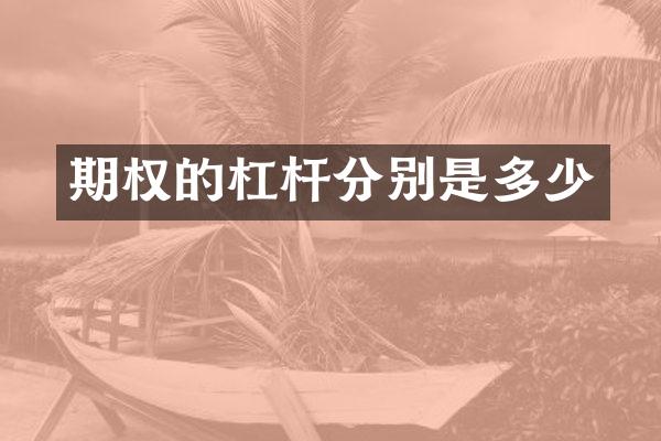 期权的杠杆分别是多少