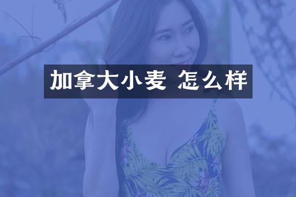 加拿大小麦 怎么样
