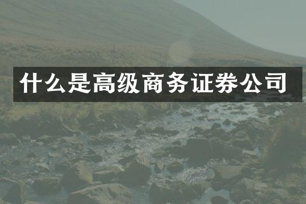 什么是高级商务证券公司
