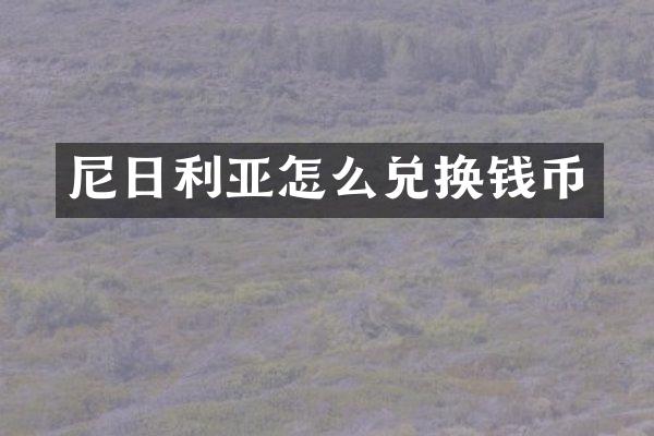 尼日利亚怎么兑换钱币