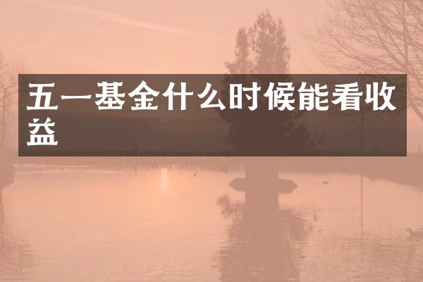 五一基金什么时候能看收益