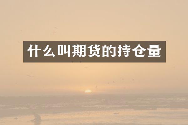 什么叫期货的持仓量