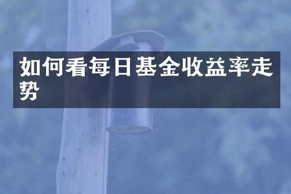 如何看每日基金收益率走势