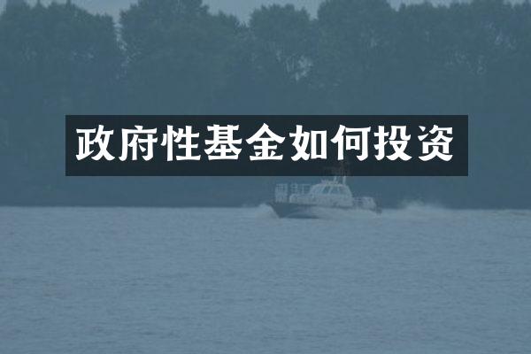 政府性基金如何投资