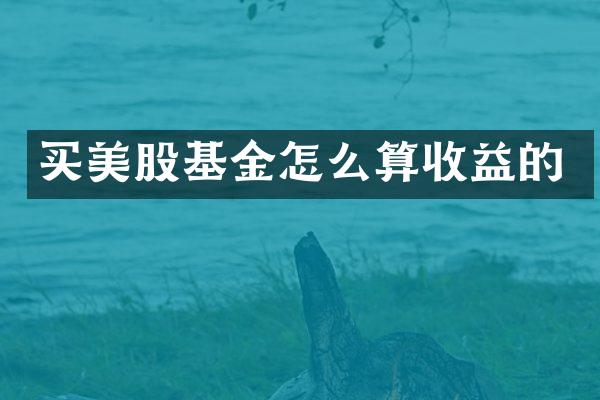 买美股基金怎么算收益的