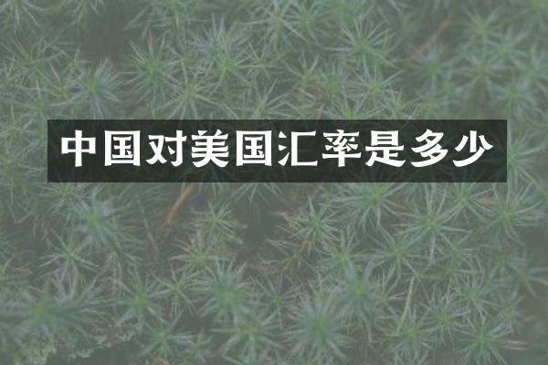 中国对美国汇率是多少