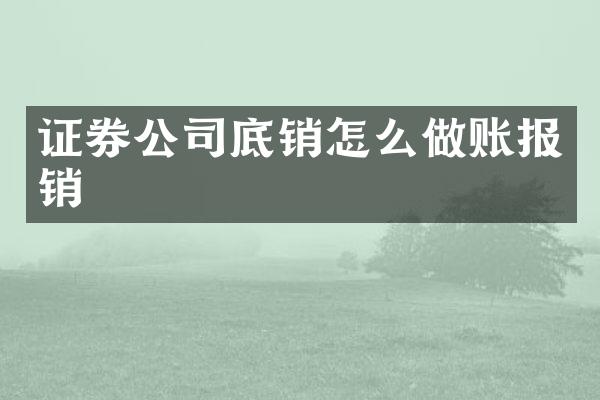 证券公司底销怎么做账报销