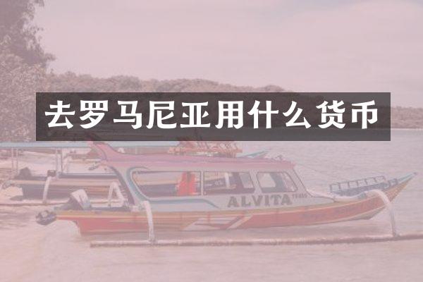 去罗马尼亚用什么货币