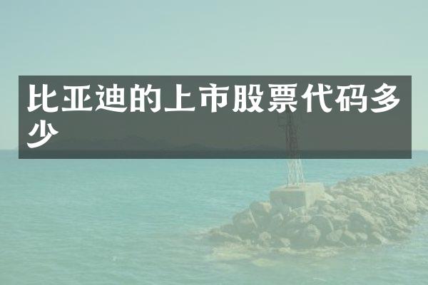 比亚迪的上市股票代码多少