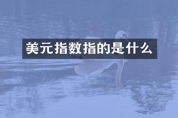 美元指数指的是什么