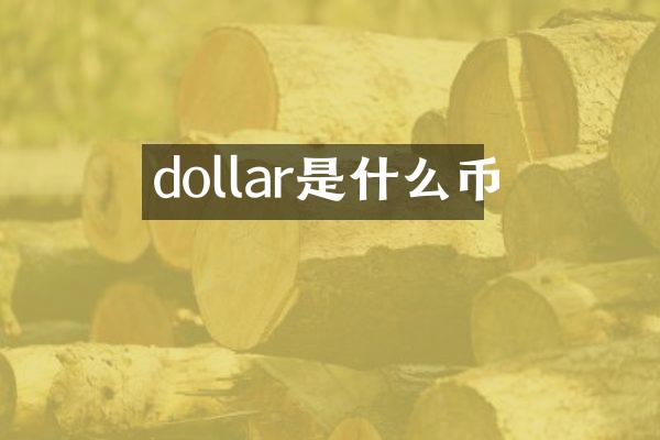 dollar是什么币
