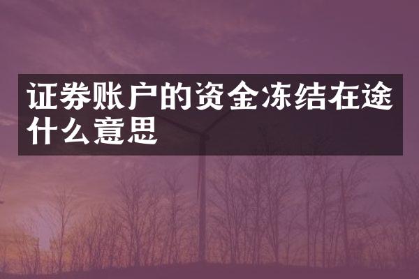 证券账户的资金冻结在途什么意思