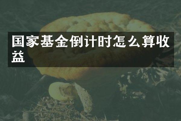 国家基金倒计时怎么算收益