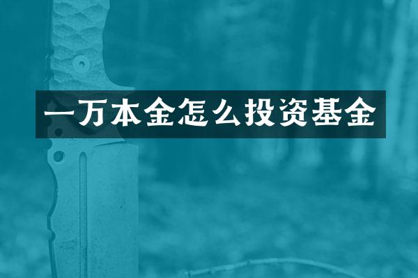 一万本金怎么投资基金