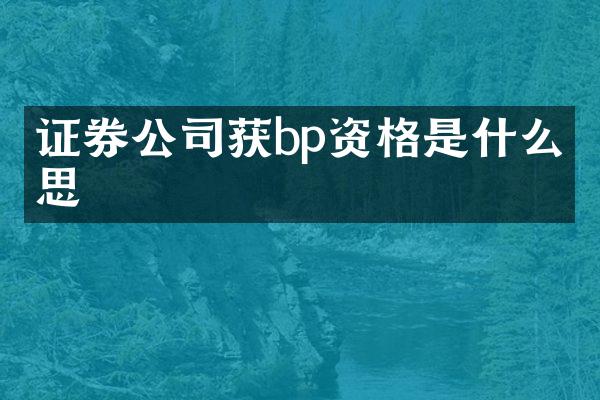 证券公司获bp资格是什么意思