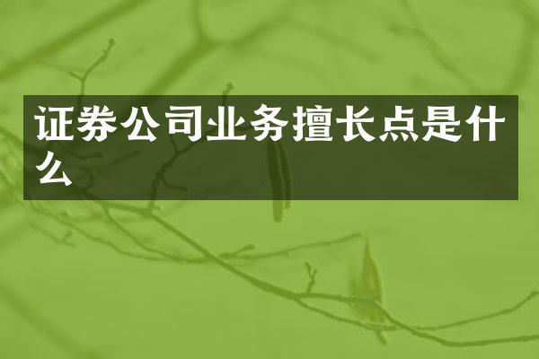 证券公司业务擅长点是什么