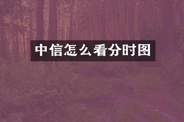 中信怎么看分时图