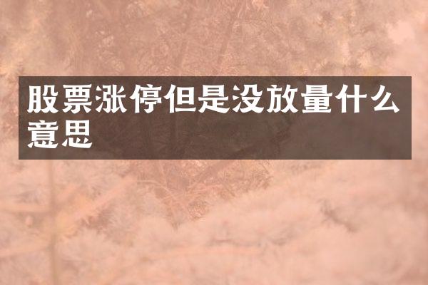 股票涨停但是没放量什么意思