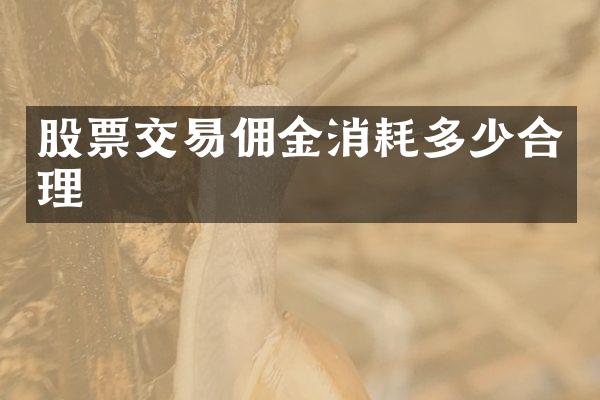 股票交易佣金消耗多少合理