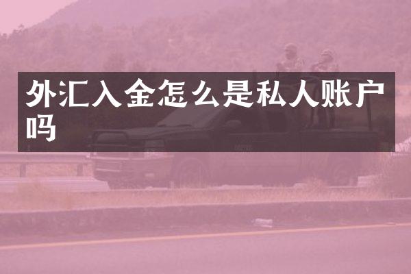 外汇入金怎么是私人账户吗