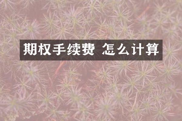 期权手续费 怎么计算