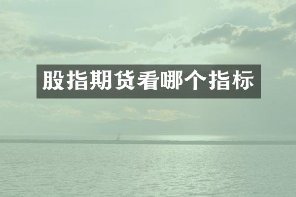 股指期货看哪个指标