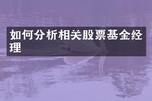 如何分析相关股票基金经理
