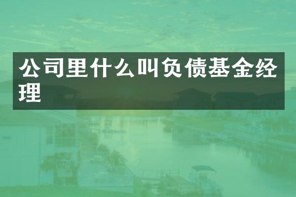 公司里什么叫负债基金经理