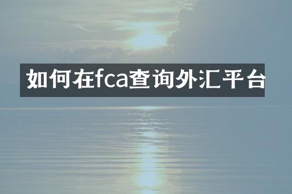 如何在fca查询外汇平台