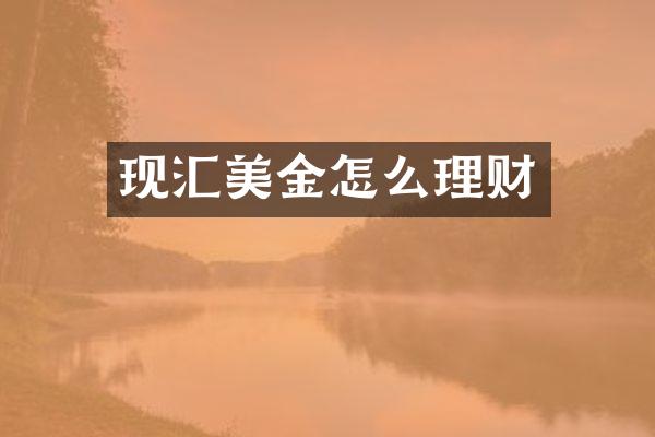 现汇美金怎么理财