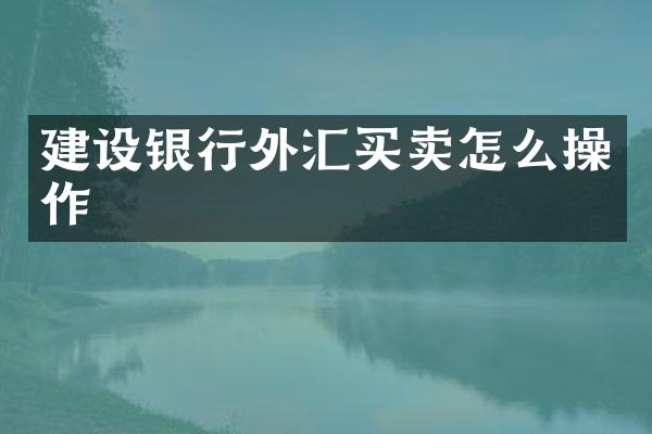 建设银行外汇买卖怎么操作