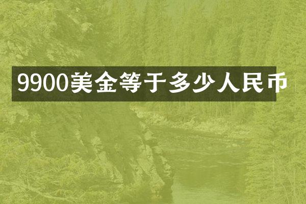 9900美金等于多少人民币