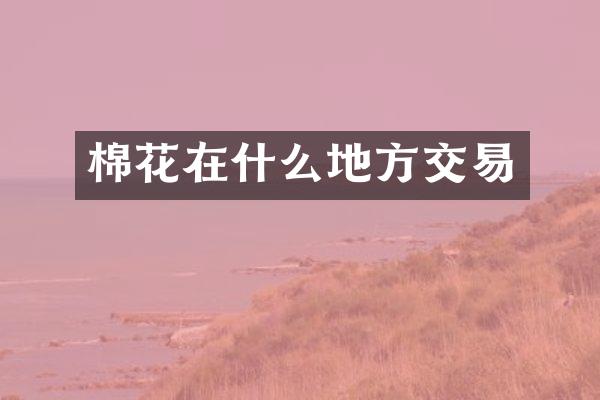 棉花在什么地方交易