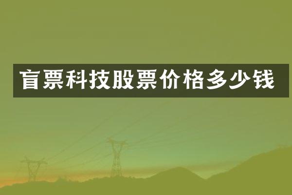 盲票科技股票价格多少钱