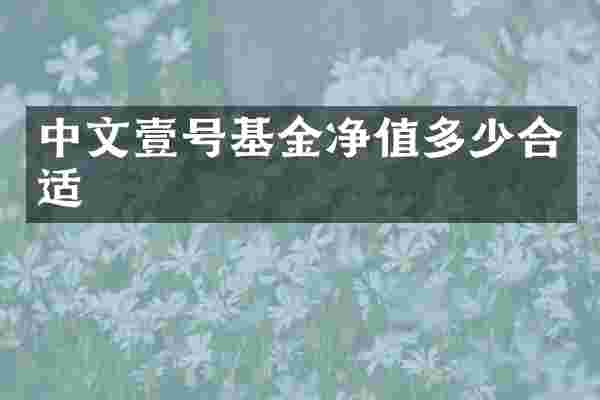中文壹号基金净值多少合适