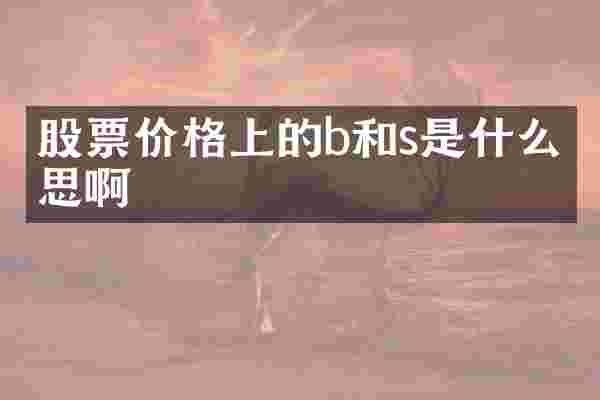 股票价格上的b和s是什么意思啊