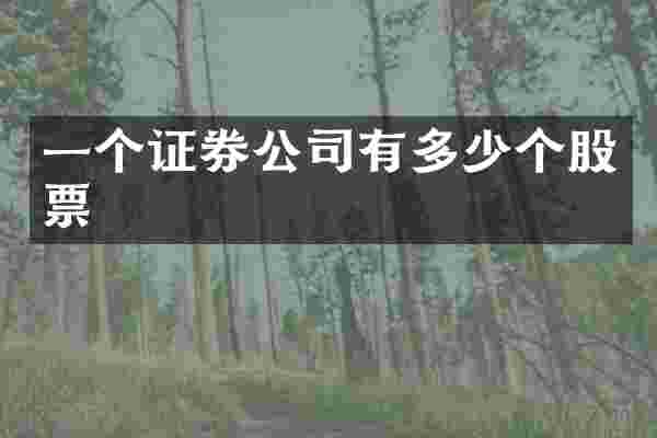 一个证券公司有多少个股票