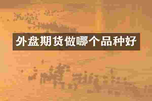 外盘期货做哪个品种好