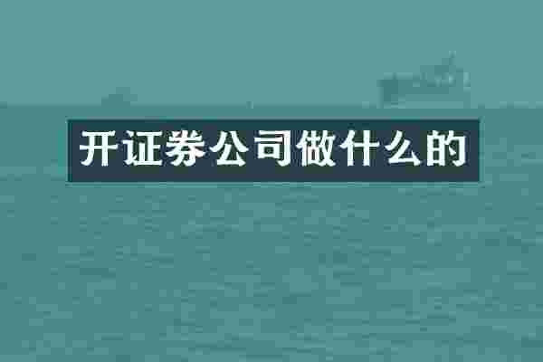 开证券公司做什么的