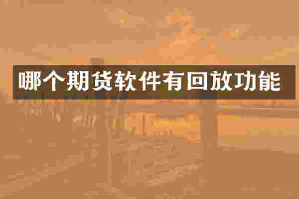 哪个期货软件有回放功能
