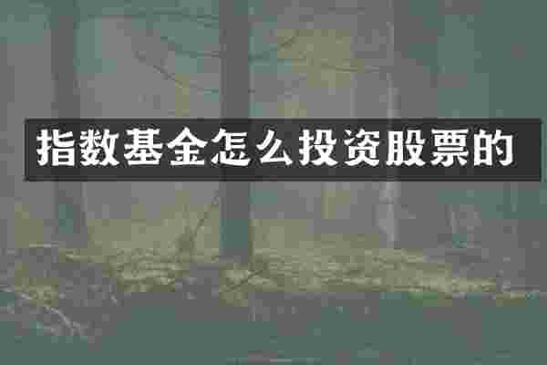 指数基金怎么投资股票的