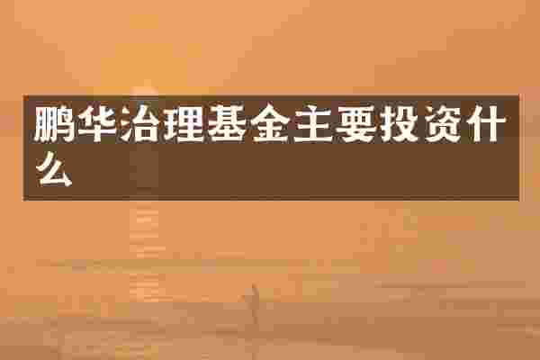 鹏华治理基金主要投资什么
