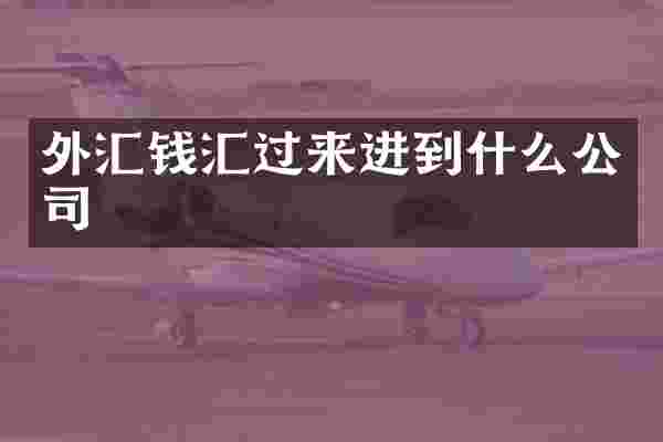 外汇钱汇过来进到什么公司