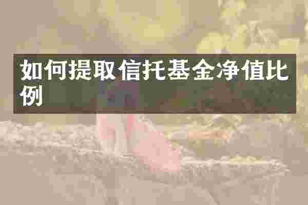 如何提取信托基金净值比例