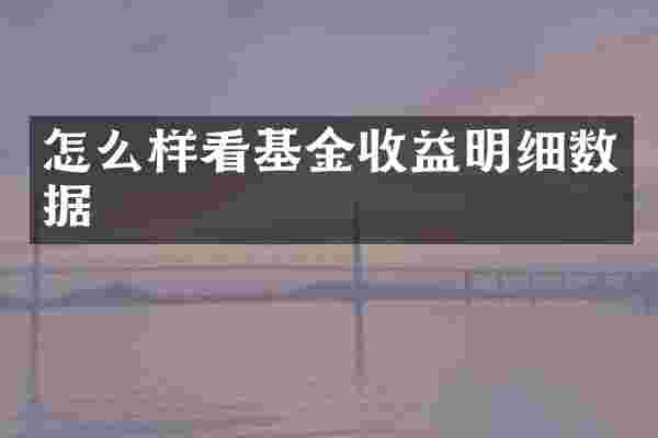 怎么样看基金收益明细数据
